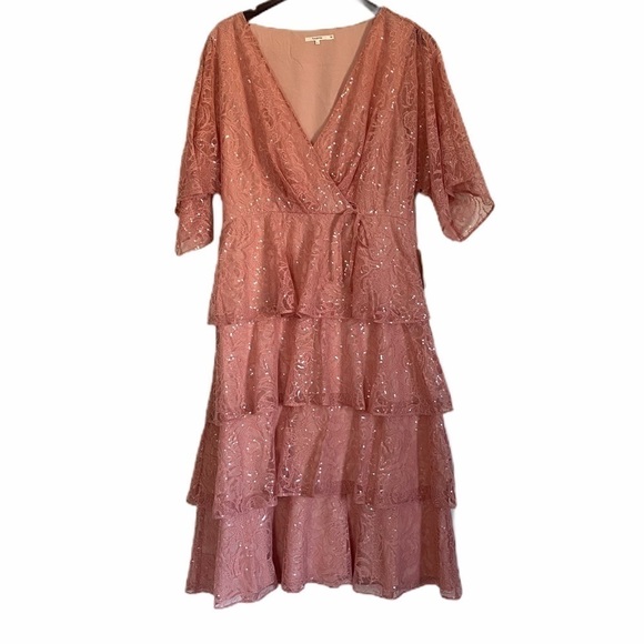 NWT TULAROSA Autumn Dress Lace Sequin Dusty Rose L - Picture 4 of 13